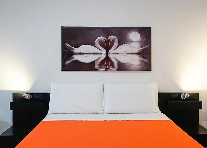 Riol Home